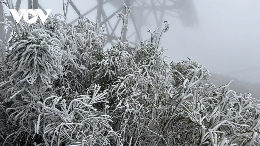 Strong cold spell to hit this weekend, cause snowfall in highlands